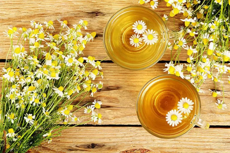 Chamomile Tea -Benefits For Your Health