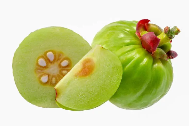 All About Garcinia Cambogia