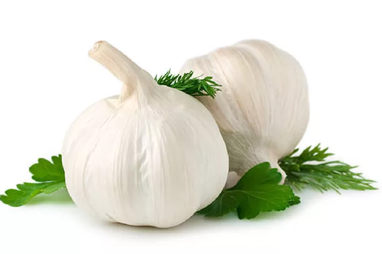 Can garlic prevent or treat the common cold?