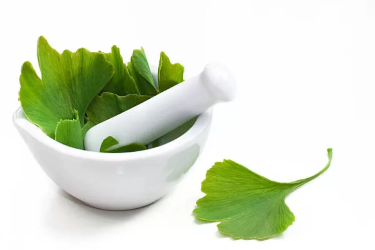 Health Benefits and Side Effects of Ginkgo Biloba