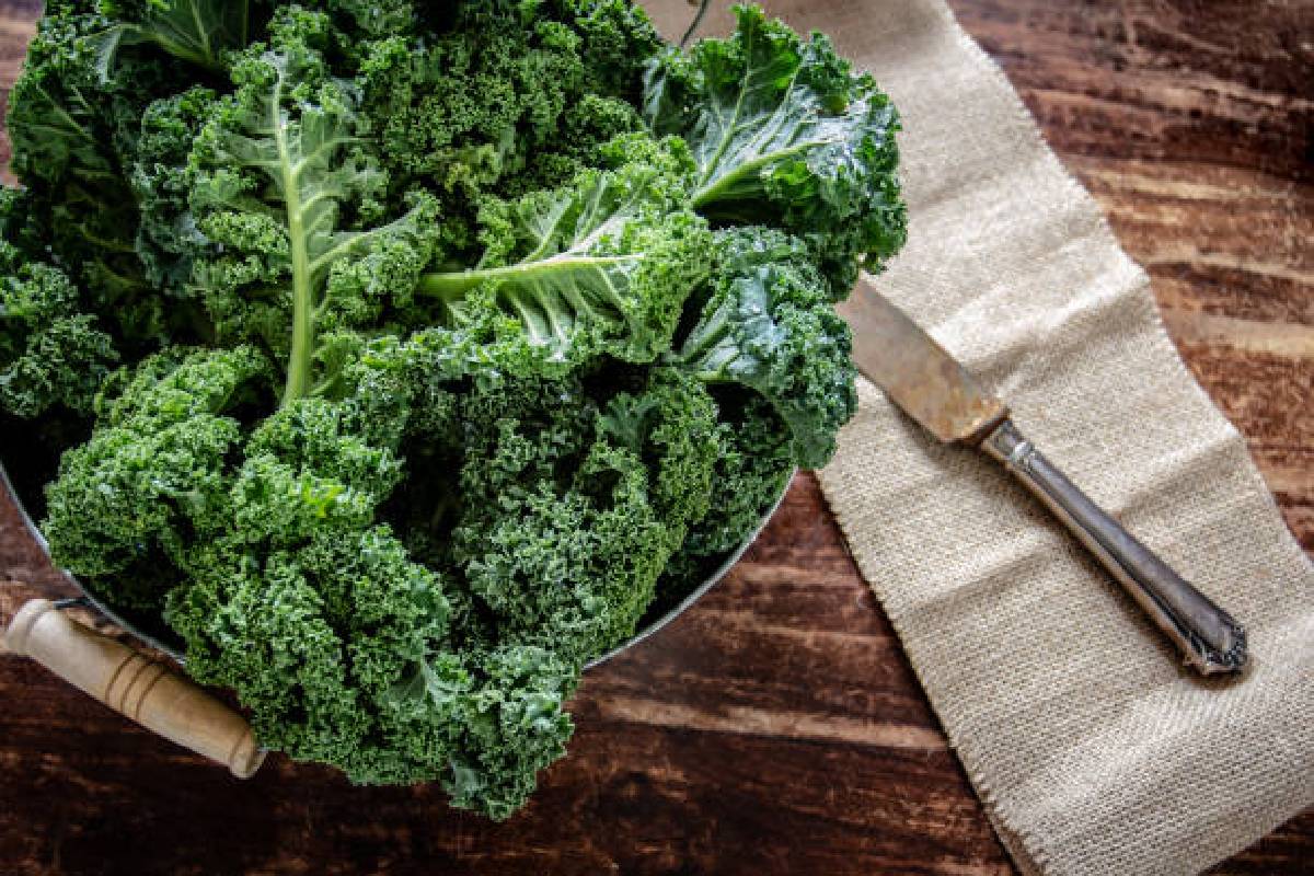 Health Benefits of Kale
