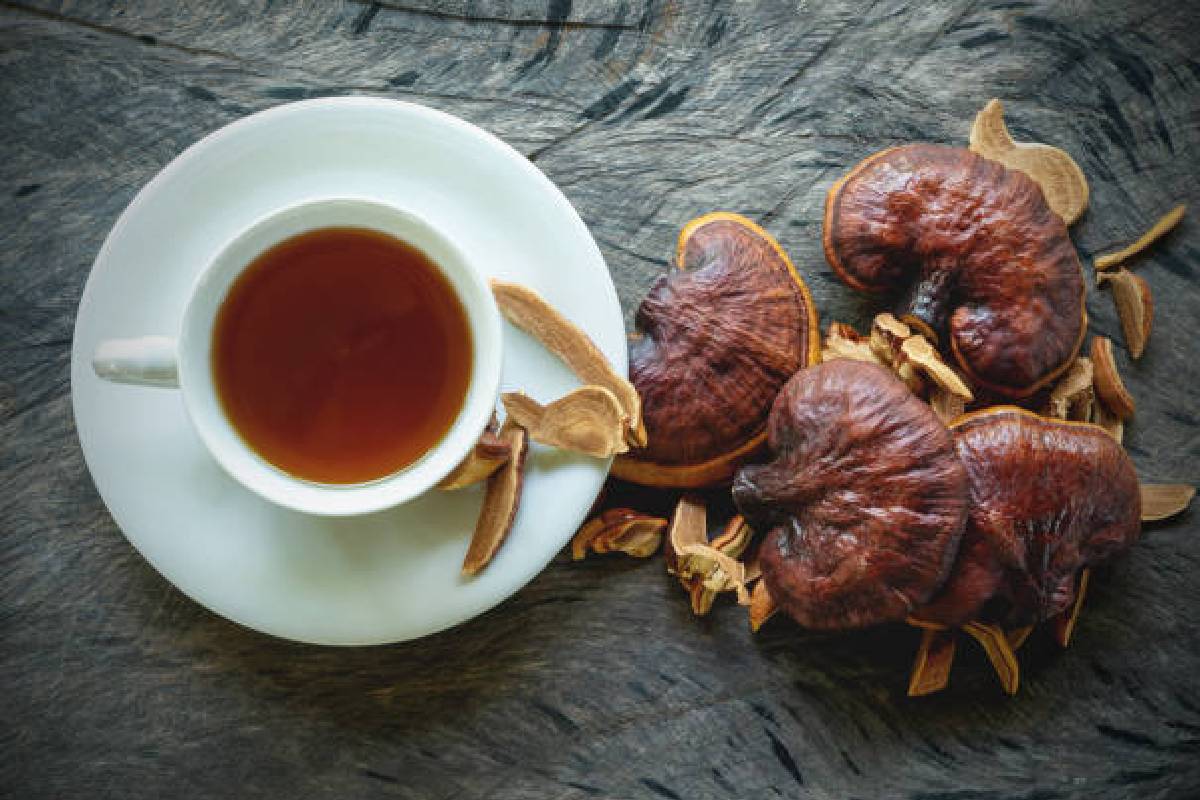Is Mushroom Tea Healthy?