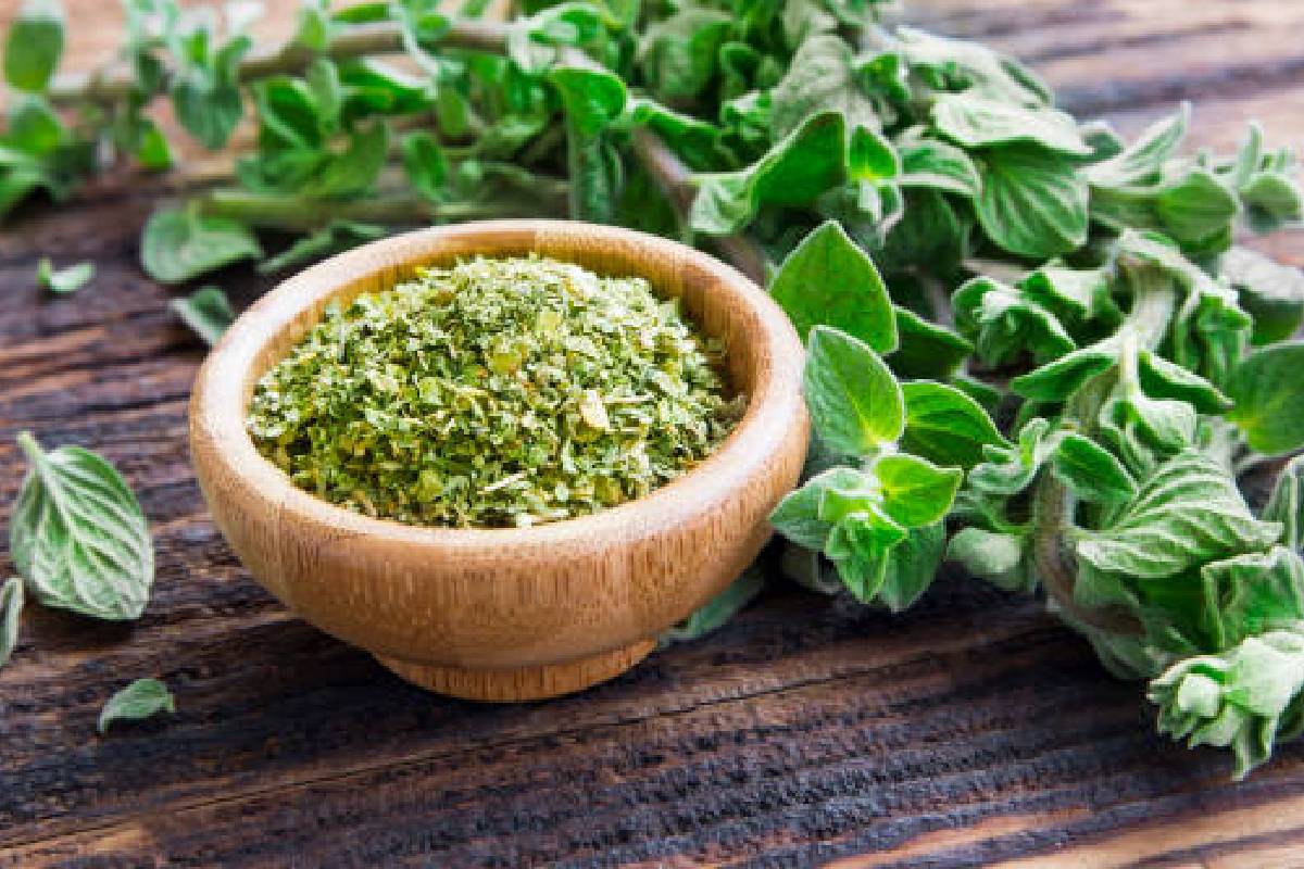 Health Benefits of Oregano