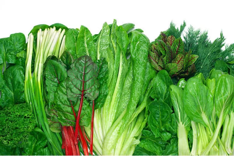 Healthiest Leafy Green Vegetables